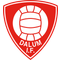 Dalum IF