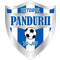 Viitorul Pandurii Targu Jiu (- 2024)