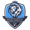 Accra Lions FC