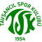 Tavsancilspor