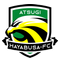 Atsugi Hayabusa