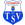 TSV Vatanspor Bad Homburg