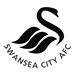 Swansea City Swansea City