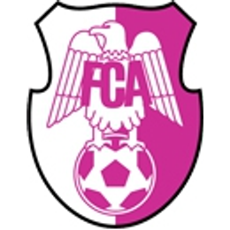 FC Arges Pitesti  (- 2013)