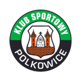 Gornik Polkowice Gornik Polkowice