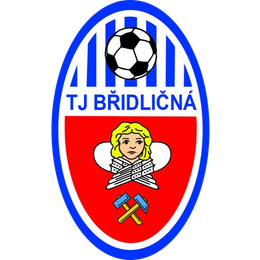 TJ Bridlicna