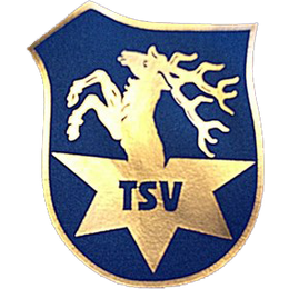TSV Hirschaid TSV Hirschaid