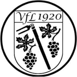 VfL Gundersheim II