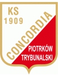 Concordia Piotrkow Trybunalski Concordia Piotrkow Trybunalski