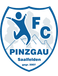 FC Pinzgau Saalfelden