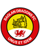 Baglan Dragons Baglan Dragons