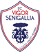 Vigor Senigallia Giovanili