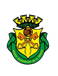 GD São Roque GD São Roque