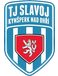 TJ Slavoj Kynsperk nad Ohri