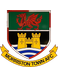 Morriston Town