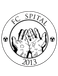 FC Spital FC Spital