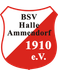BSV Halle-Ammendorf