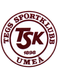Tegs SK Fotboll