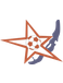 Zvezda Irkutsk (-2008)
