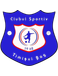 Timisul Sag