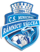 CSM Ramnicu Valcea (- 2017) CSM Ramnicu Valcea (- 2017)