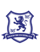 Darlaston Town Darlaston Town