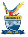 Araruama Futebol Clube Araruama Futebol Clube