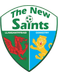 The New Saints Reserves The New Saints Reserves