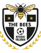 The Bees Football Club The Bees Football Club