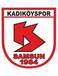 Kadiköyspor