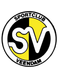SC Veendam (- 2013)