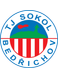 TJ Sokol Bedrichov Jugend