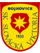 SK Slovacka Viktoria Bojkovice Jugend