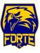 Forte Futebol Clube