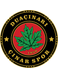 Duacinari Cinarspor