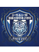 Shin Tae-in Football Center U18 Shin Tae-in Football Center U18