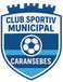 CSM Caransebeș 