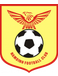 Thep Xanh Nam Dinh FC