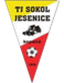 TJ Sokol Jesenice Jugend