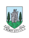 Newry Town FC