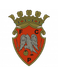 FC Penafiel Sub-23 FC Penafiel Sub-23