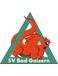 SV Bad Goisern