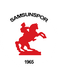 Samsunspor