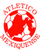 Atlético Mexiquense (- 2009)