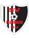 SV Feldbach Jugend