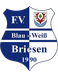 FV Blau-Weiß 90 Briesen