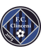 Academica Clinceni