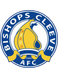 Bishops Cleeve FC