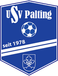 USV Palting USV Palting