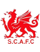 Swansea City